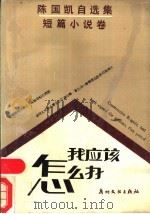 我应该怎么办 1990 PDF电子版封面 7543102439 陈国凯著