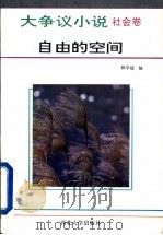 大争议小说  社会卷  自由的空间（1993 PDF版）