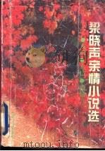 梁晓声亲情小说选 1993 PDF电子版封面 7560405746 梁晓声著
