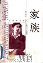 家族 1995 PDF电子版封面 7532113965 张炜著