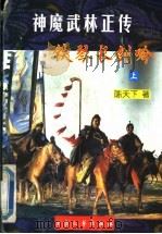 神魔武林正传——铁琴长剑吟  上   1998  PDF电子版封面  780094235X  陈天下著 