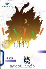 烧 1996 PDF电子版封面 7543425521 周蜜蜜著
