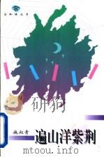 遍山洋紫荆 1996 PDF电子版封面 7543425351 施叔青著