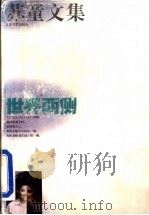 世界两侧 1993 PDF电子版封面 753990559X 苏童著