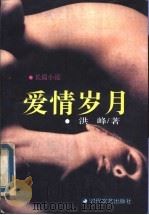 爱情岁月  长篇小说（1995 PDF版）