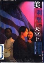 美利坚的天空下 在美留学生情爱故事 1999 PDF电子版封面 7801461401 当代留学生文丛编委会编