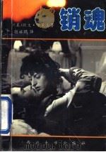 销魂 上 1993 PDF电子版封面 7560405622 (美)欧文·华莱士著;张林鹏译