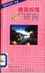 魂销奴塔 1996 PDF电子版封面 7540206918 (美)米勒著;南北译