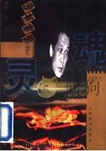 没有家园的灵魂 王建业 原深圳市计划局财贸处处长 特大受贿案探微 1996 PDF电子版封面 7801141075 杨黎光著