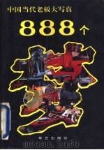 888个梦 中国当代老板大写真 1993 PDF电子版封面 780039798X 田伟主编