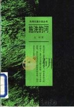 施洗的河 1993 PDF电子版封面 7536015712 北村著
