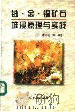 铀·金·铜矿石堆浸原理与实践   1997  PDF电子版封面  7502216049  李尚远等编著 