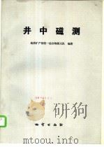 井中磁测 1985 PDF电子版封面 13038·新146 地质矿产部第一综合物操大队编著