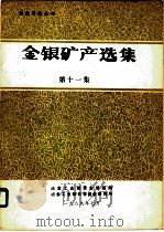 金银矿产选集  第11集（1989 PDF版）