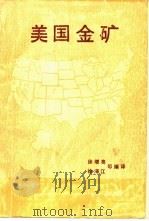 美国金矿 1989 PDF电子版封面 7502201998 徐增亮等编译