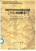新疆库鲁克塔格地区前震旦纪地质与贵重、有色金属矿床 1995 PDF电子版封面 7116017585 冯本智等著