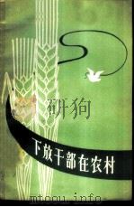 下放干部在农村 1958 PDF电子版封面 3074·155 人民出版社编辑