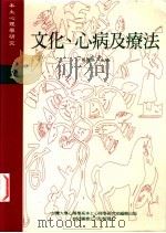 文化、心病及疗法 1997 PDF电子版封面 杨国枢主编