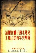 活跃在狮子滩水电站工地上的青年突击队 1955 PDF电子版封面 杨璀著