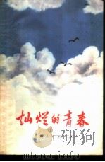 灿烂的青春 上海青年技术革新先进事迹选 1975 PDF电子版封面 3171·220 中国共产主义青年团上海市委员会编