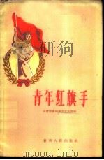 青年红旗手 1960 PDF电子版封面 T7115·216 共青团贵州省委宣传部编著