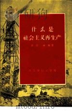 什么是社会主义再生产 1956 PDF电子版封面 T4008·33 亦芬,学本著