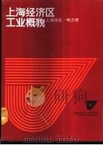 上海经济区工业概貌  上海冶金·电力卷   1986  PDF电子版封面  4259·021  吕鸿畴，孙熙泉主编 