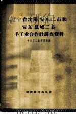 辽宁省沈阳、安东二市和安东、凤城二县手工业合作社调查资料 1957 PDF电子版封面 4005·344 中央手工业管理局编