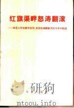 红旗渠畔怒涛翻滚  林县人民在集中批邓、反击右倾翻案风的斗争中前进（1976 PDF版）