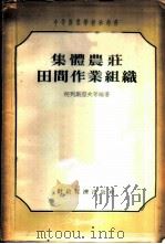 集体农庄田间作业组织 1956 PDF电子版封面 (苏)柯列斯涅夫等编著;叶可君等译