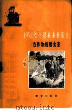 1958年全国农业展览会 农作物馆粮食室 1959 PDF电子版封面 16144·564 全国农业展览会编