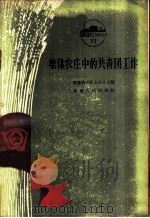 集体农庄中的青年团组织 1956 PDF电子版封面 T3090·35 辽宁省中苏友好协会编