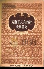 苏联工艺合作社发展简史 (苏联专家报告汇编) 1957年03月第1版 PDF电子版封面 (苏)普·瓦·叶夫谢也夫著 中央手工业管理局专家工作室译