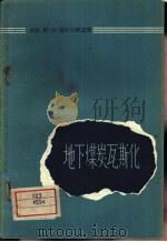 地下煤炭瓦斯化 1959 PDF电子版封面 15035·852 (苏)潘科夫斯基(В.И.Панъколский)著;辛镜敏