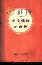 原子爆炸冲击波   1958  PDF电子版封面  15034·216  （苏）纳乌门科（И.А.Науменко），（苏）彼德洛维奇 