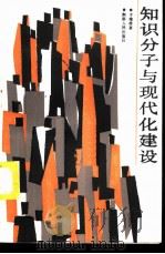 知识分子与现代化建设 1986 PDF电子版封面 3109·529 于维栋著