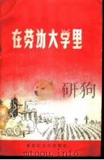 在劳动大学里 1958 PDF电子版封面 T7093·123 中共哈尔滨市委精简办公室编