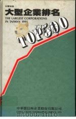 台湾地区大型企业排名 TOP500 1995 PDF电子版封面 9579461716 中华征信所企业股份有限公司著