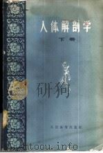 人体解剖学 下 1959 PDF电子版封面 7015·862 (苏)伊万尼茨基,М.Х.著;郭北海等译