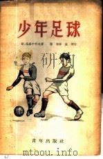 少年足球 1953 PDF电子版封面 斯·格罗申科夫著;阎海译
