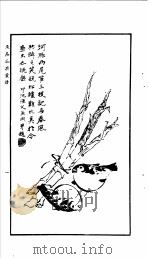 自习画谱大全  1  鱼虫瓜果画谱（1982 PDF版）
