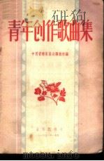 青年创作歌曲集 1956 PDF电子版封面 T8026·529 中国音乐家协会编辑部编辑