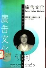 广告文化 1995 PDF电子版封面 9579272204 孙秀蕙,冯建三著孟樊策划