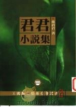 君君小说集 1999 PDF电子版封面 董君君著;陈琼华主编
