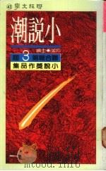 小说潮：联合报第三届小说奖作品集   1978  PDF电子版封面    痖弦主编 