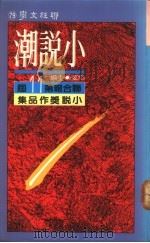 小说潮：联合报第十一届小说奖作品集（1990 PDF版）