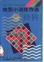 微型小说佳作选  公开组（ PDF版）