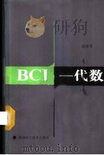 BCI-代数 1987 PDF电子版封面 13202·94 胡庆平著