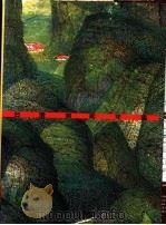 台湾美术年鉴 1995 年度主题 1995 PDF电子版封面 9578980272 雄狮台湾美术年鉴编辑委员会编著