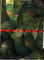 台湾美术年鉴 1995 年度纪事 1995 PDF电子版封面 9578980272 雄狮台湾美术年鉴编辑委员会编著